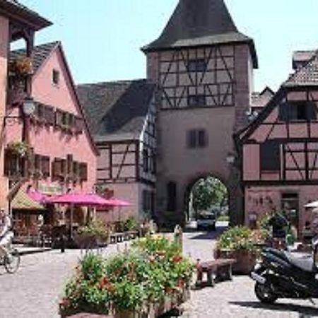 Gite Les Cigogneaux Turckheim Exteriér fotografie